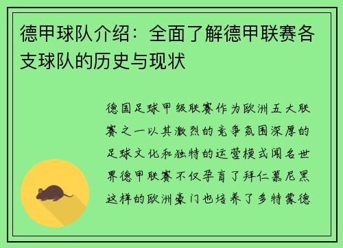 德甲球队介绍：全面了解德甲联赛各支球队的历史与现状